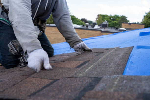 Roof Gutter Cleaning in Atkins, AR
